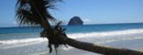 vacanze mare martinica